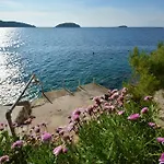 Srdjana *