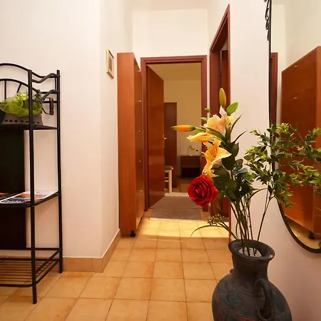 Srdjana * 普瑞兹巴