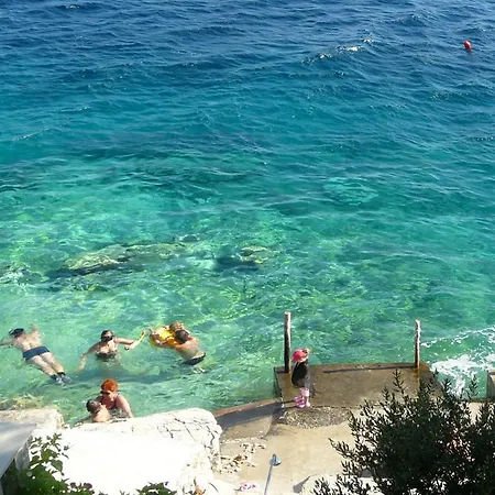 Srdjana 普瑞兹巴