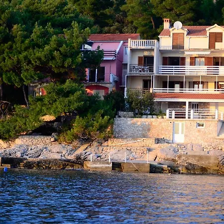 Srdjana 普瑞兹巴