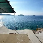Srdjana *
