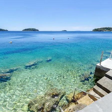 Srdjana Appartement Prizba