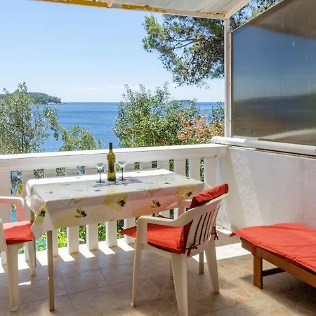 Srdjana Apartment