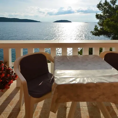 Srdjana Apartment Prizba