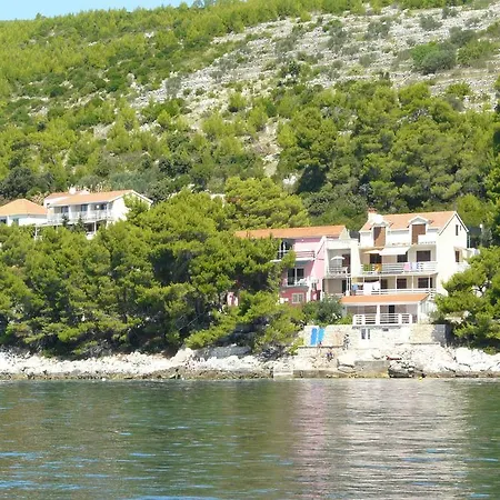Srdjana Прижба