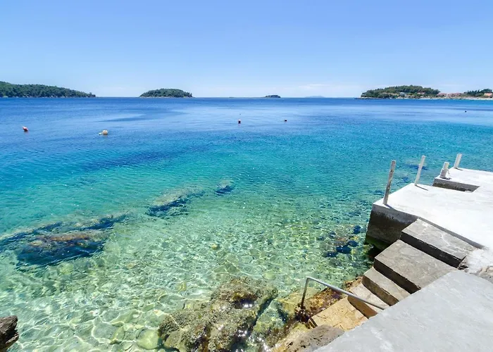 Srdjana Appartement Prižba