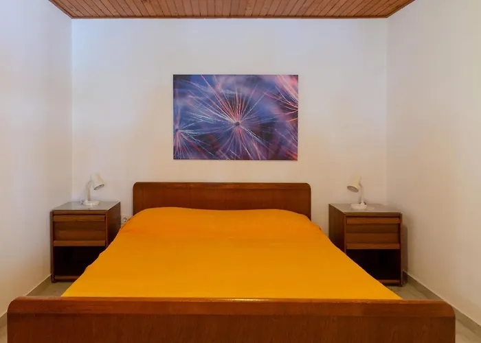 Srdjana Appartement Prižba